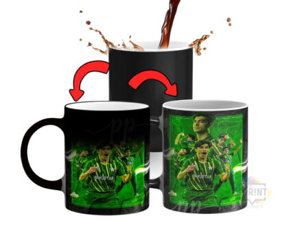 Best Naseem Shah Fanatic Picture Mug Price in Pakistan Show Your Support Wherever You Go 330Ml