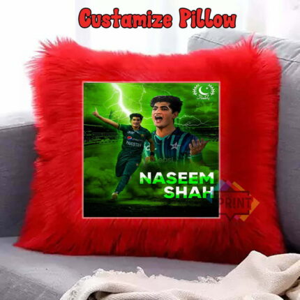 Best Naseem Shah Poster Art Fur Pillow 12 By 12 | Perfect Prints
