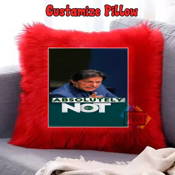 Limited Edition Imran Khan Pic Absolutely not Amazing Fur cushion covers 12 by 12 | Perfect Prints