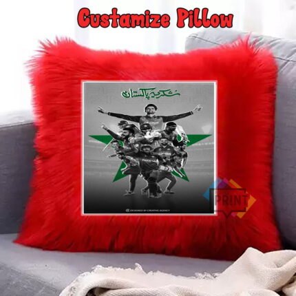 pakistan team squad Fur Pillow Amazing 12 By 12 | Perfect Prints